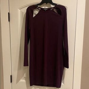 Express Women's Long Sleeve Dress in Deep Purple